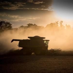 Meet your Posher, Ellen jerry